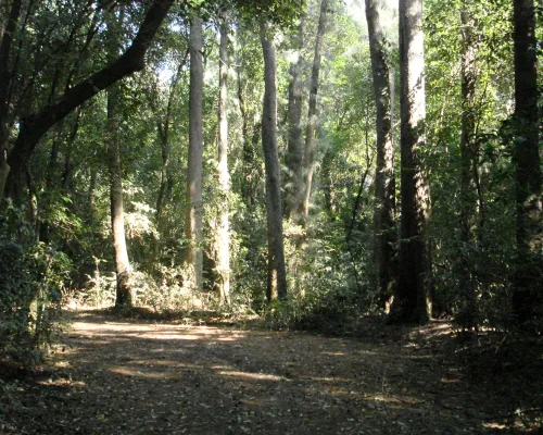 Estancia La Candelaria