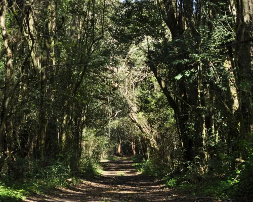 Estancia Reserva El Destino 