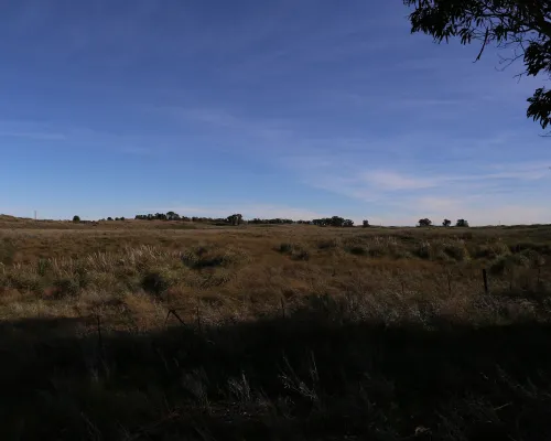 Camino sinuoso Este - Oeste