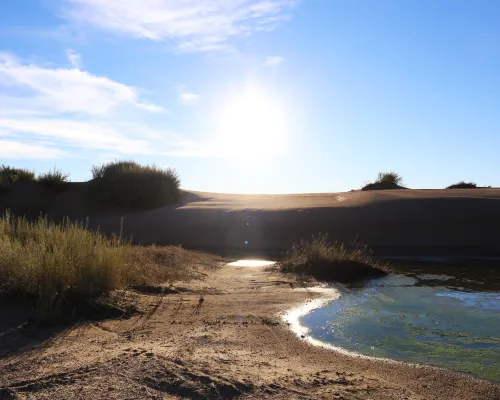 Medanos blancos