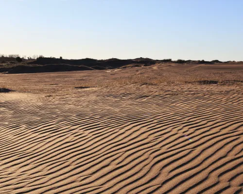 Medanos blancos