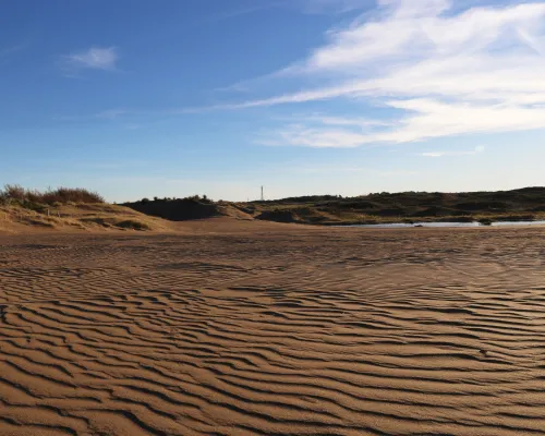 Medanos blancos