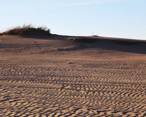 Medanos blancos