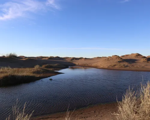 Medanos blancos