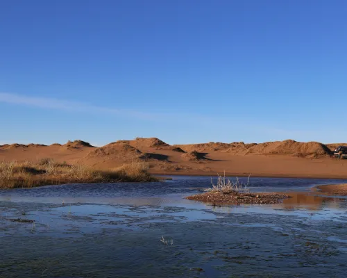 Medanos blancos