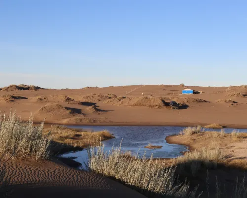 Medanos blancos