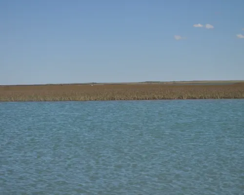 Ría de Bahía San Blas