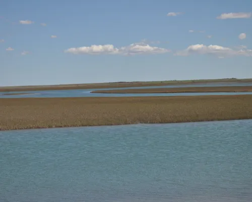 Ría de Bahía San Blas