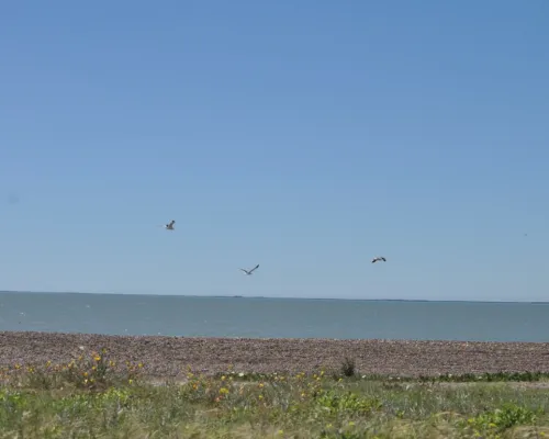 Playas de Bahía de San Blas