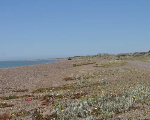 Playas de Bahía de San Blas