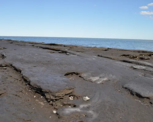 Balneario Los Pocitos
