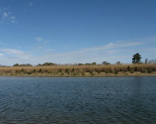 Lagos del Rocío