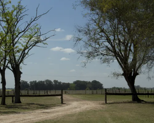 Hacienda de Figueroa