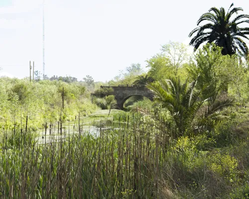Tiro Federal de San Andrés de Giles