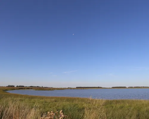 Laguna La Salada