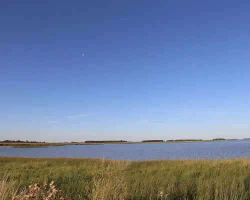 Laguna La Salada