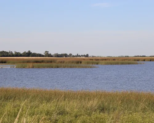 Laguna La Salada