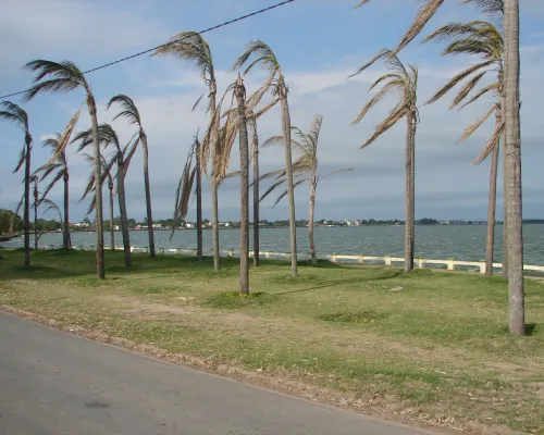 Laguna de San Miguel del Monte (Monte)