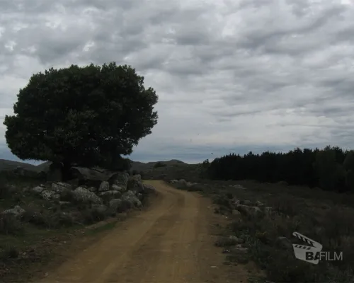 Reserva Natural Sierra del Tigre