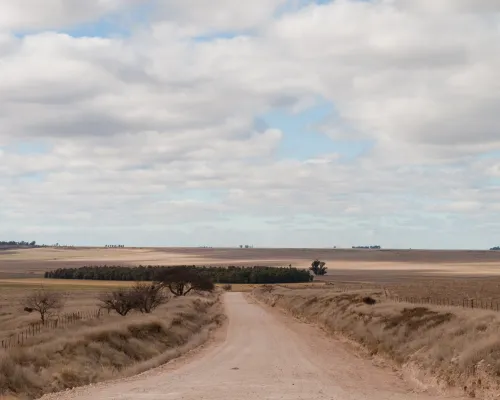 Camino Chasicó