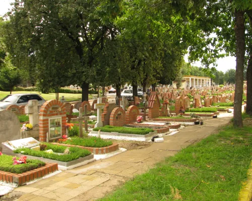 Cementerio de Olivos