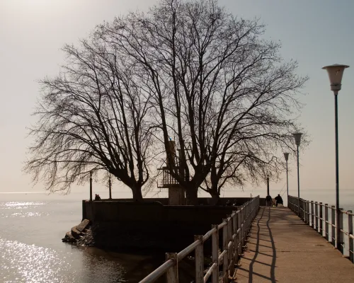 Muelle Vicente López