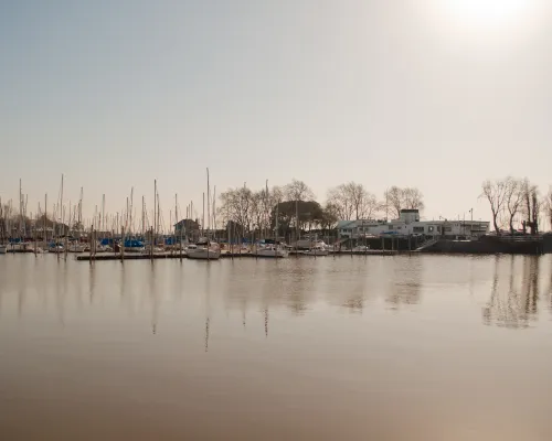 Muelle Vicente López
