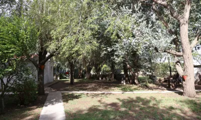 Camping Parque la Palmera
