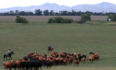 Sierras de Coronel Suárez