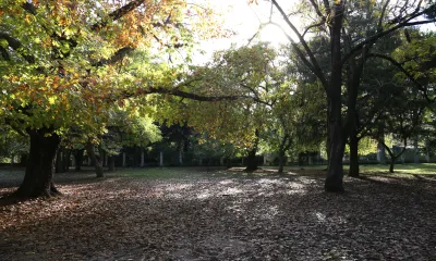 Paseo del Bosque